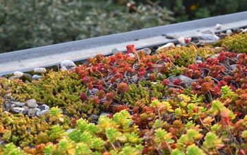 the cost of Eglwyswrw green roof installation