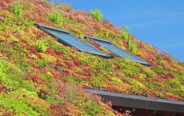Eglwyswrw living roof systems