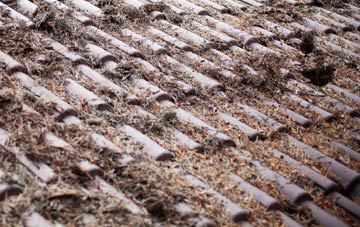 Eglwyswrw roof cleaning companies