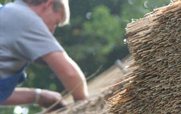 professional Eglwyswrw thatchers