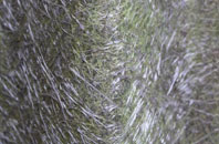 Eglwyswrw fibreglass roof work